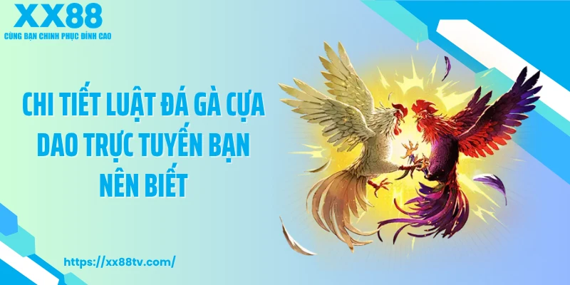 Chi tiết luật đá gà cựa dao trực tuyến bạn nên biết