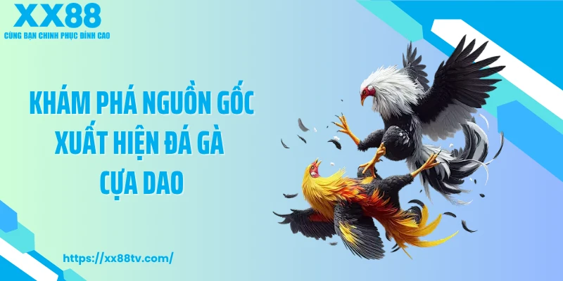 Khám phá nguồn gốc xuất hiện đá gà cựa dao