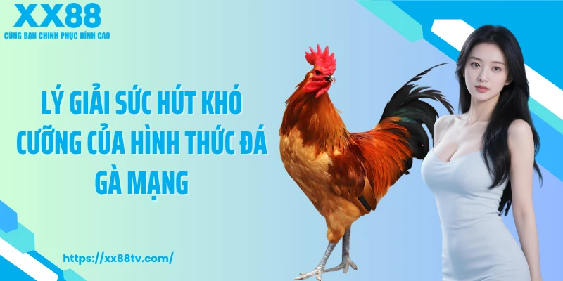 Lý giải sức hút khó cưỡng của hình thức đá gà mạng