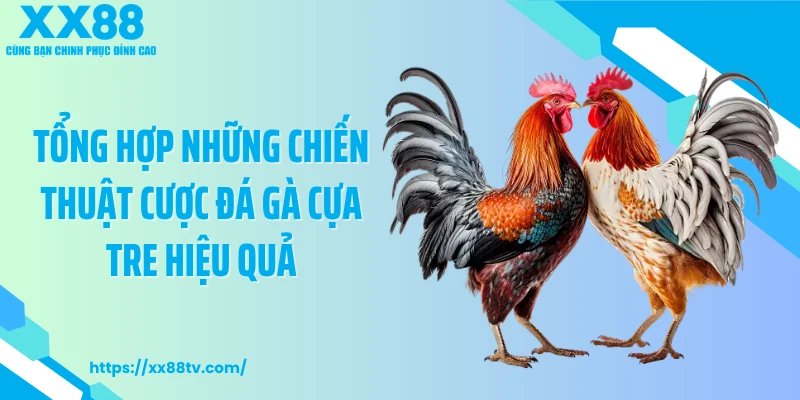 Tổng hợp những chiến thuật cược đá gà cựa tre hiệu quả